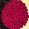 nellynelly376